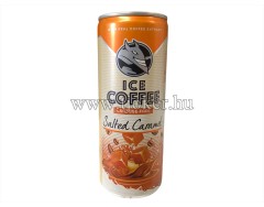 ICE COFFEE CARAMEL 250ML HELL/ 24