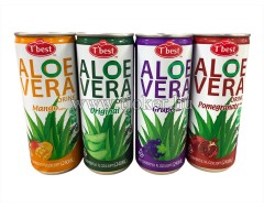 ALOE VERA GYÜM.ITAL 240ML.DRS / 30