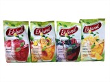 EKOLAND INST.TEA UT.300GR./ 12