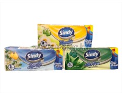 PZS.ILLATOS 100DB.SINDY 3RTG./ 60
